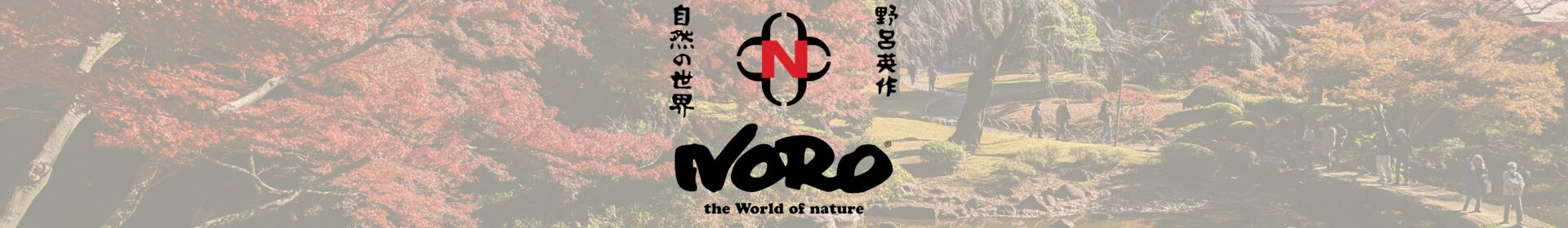 Noro-Slider