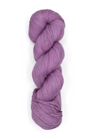 2018 Elderberry