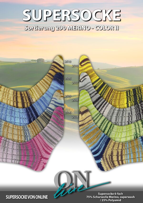 119301 ONLine SUPERSOCKE 6-FACH SORT.290 MERINO-COLOR