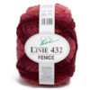 110432 ONLine Linie 432 FENICE