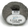 ONLine LINIE 408 LATONIA