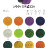 hw2020-lei-farbkarte-dochtgarn-lana-grossa Lana Grossa LEI