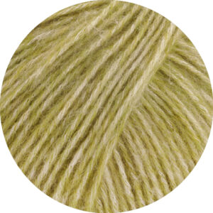 26 Kiwi meliert