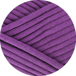 20 Viola