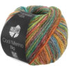 LANA GROSSA Mode mit Wolle Handels- und Vertriebs GmbH COOL MERINO BIG COLOR