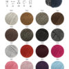 hw2025-cool-wool-big-melange-farbkarte-lana-grossa.jpg
