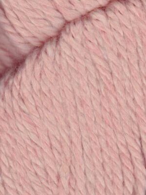 151 Piglet