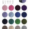 hw2025-cool-wool-superbig-melange-farbkarte-lana-grossa.jpg