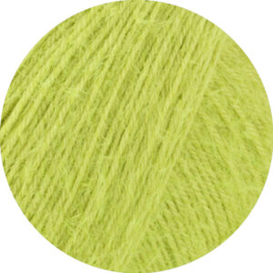 24 Limette