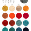 hw2026-cool-wool-big-farbkarte-lana-grossa2.jpg